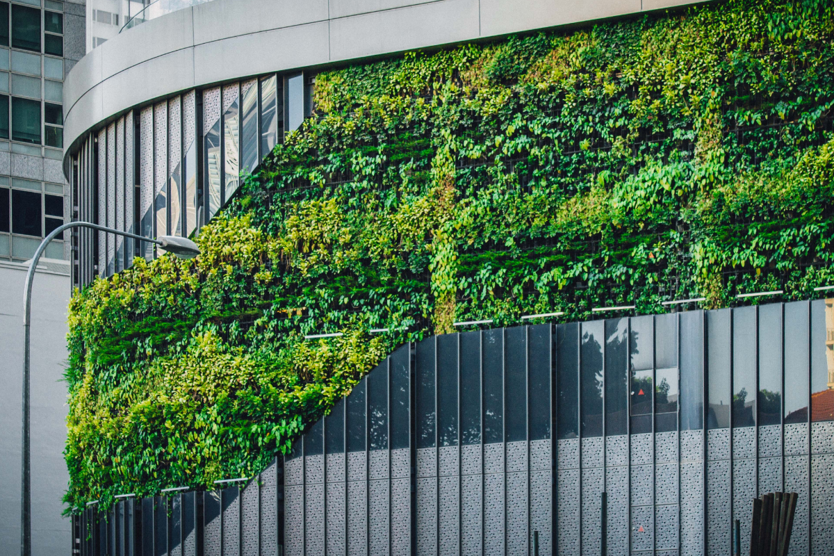 Muro Verde Arquitetura Sustentável